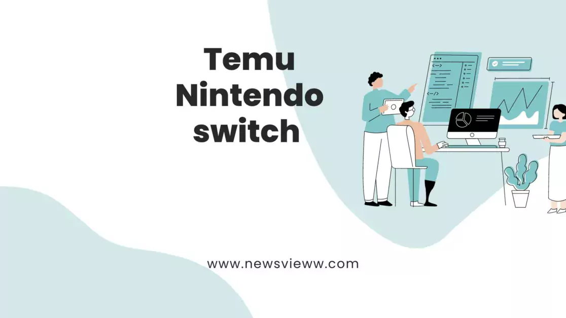 Temu Nintendo switch 