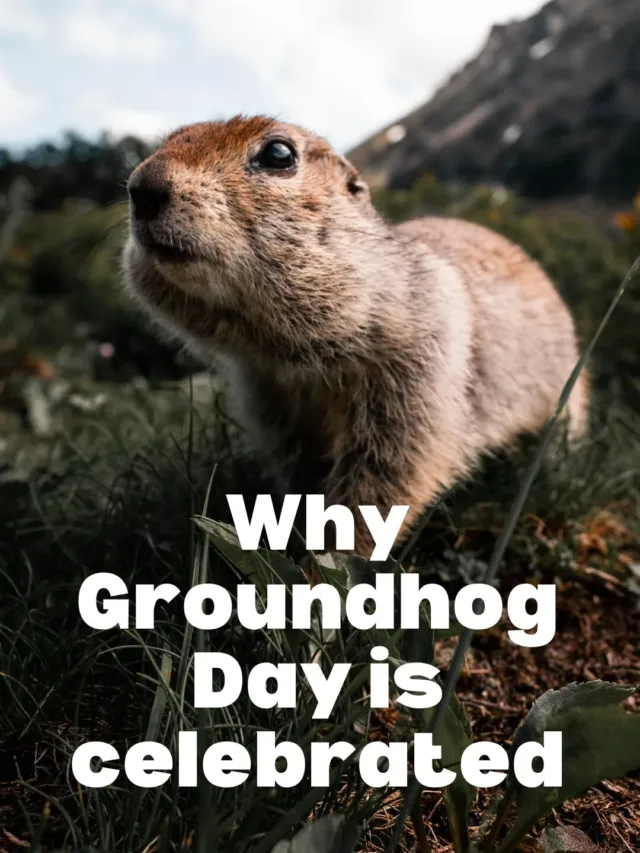 Groundhog Day 2024: Weather Predictions
